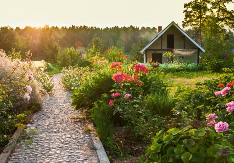 Jardin ornemental : opter pour un massif décoratif
