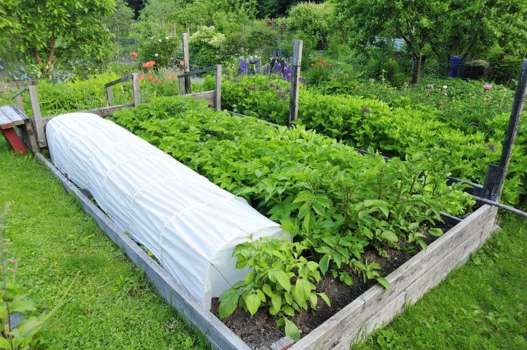 Réaliser des bordures de potager en carré