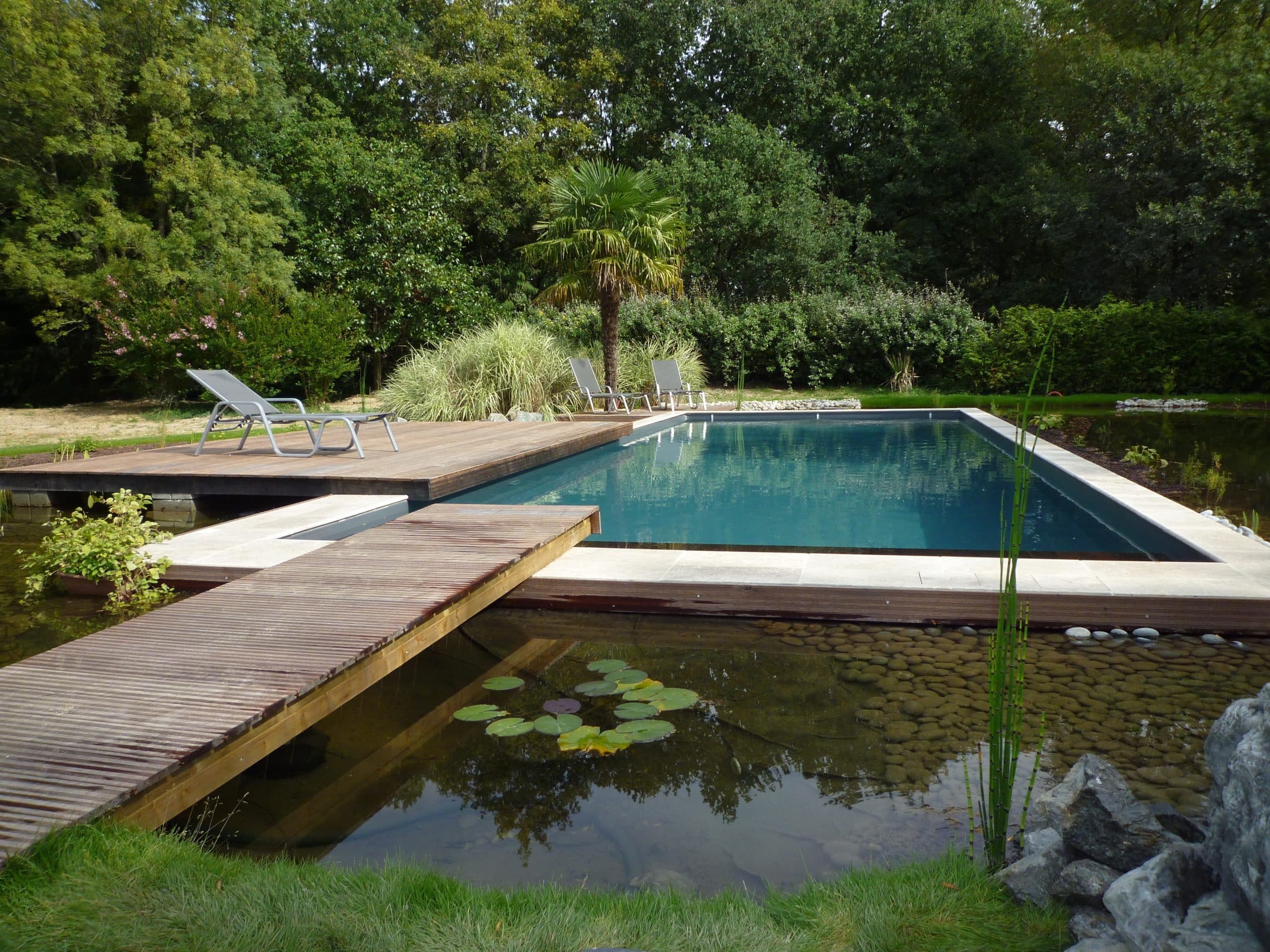 Prendre soin de votre piscine naturelle