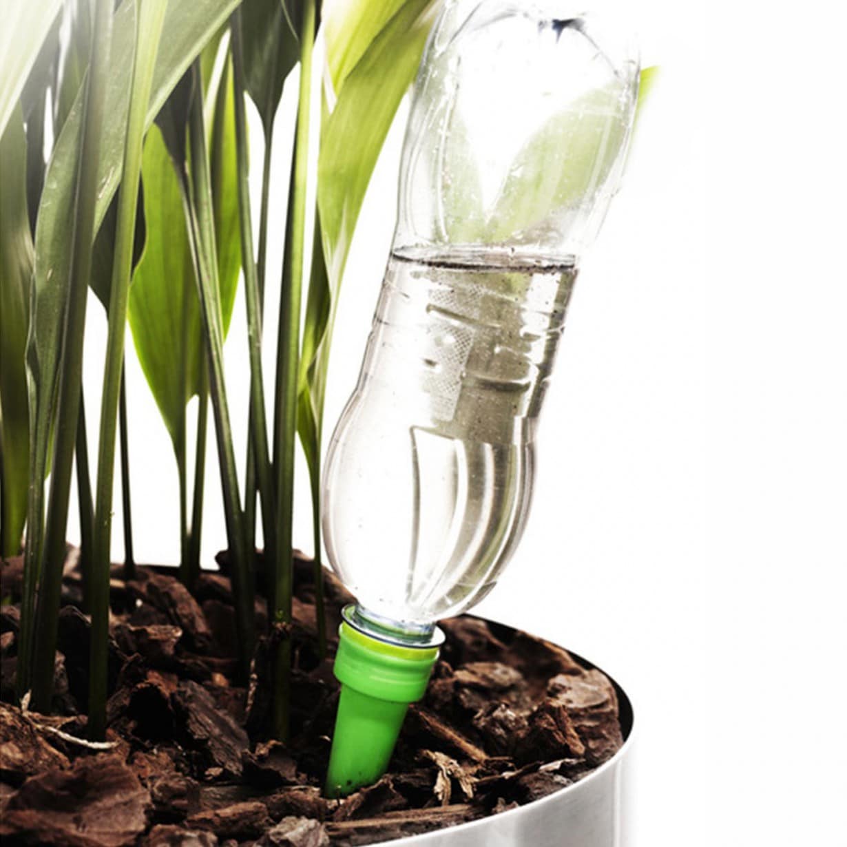 Que faire des plantes vertes lorsqu’on part en vacances ?