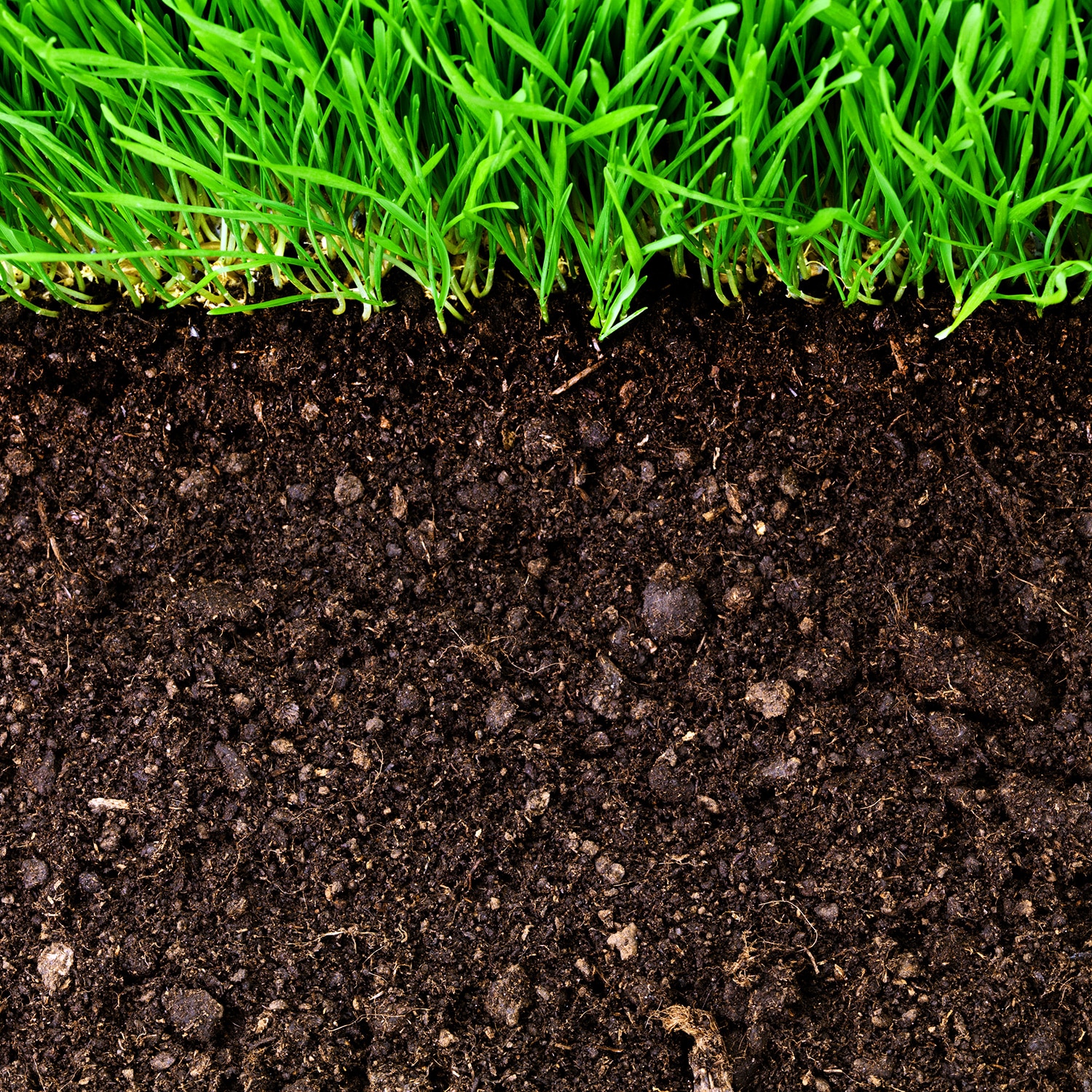Utiliser les bons engrais pour son jardin