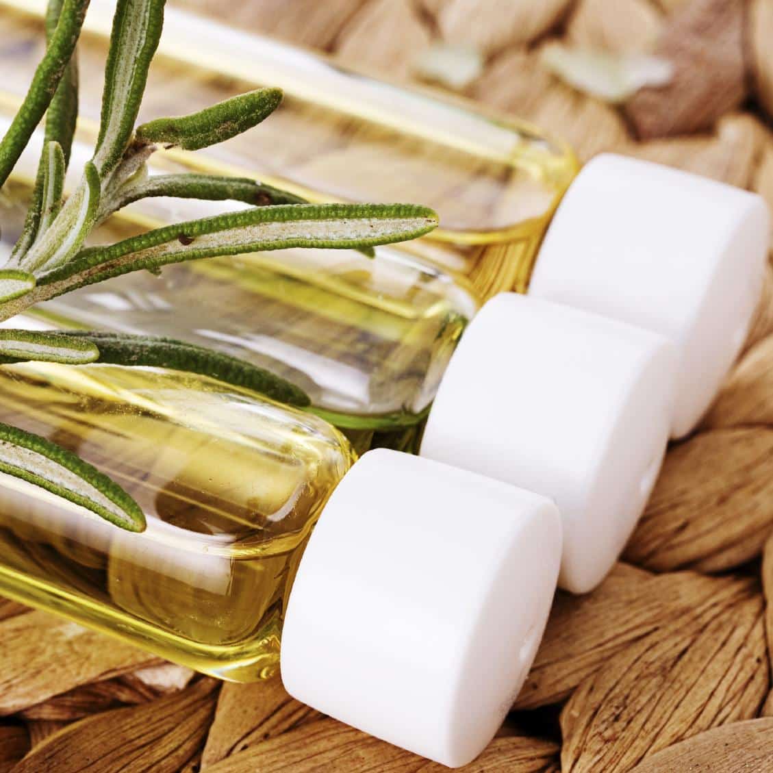 Les bienfaits des huiles essentielles sur les plantes