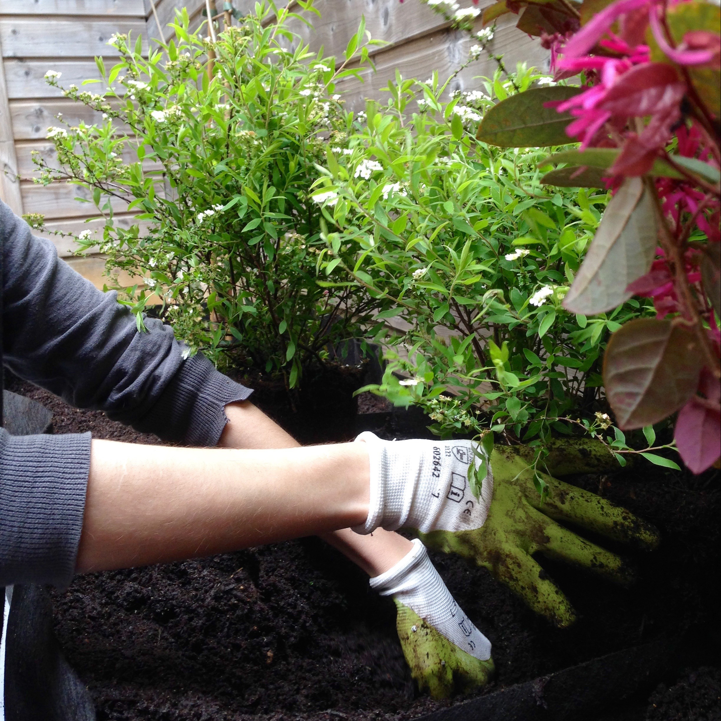 Les bonnes méthodes pour mieux apprendre le jardinage