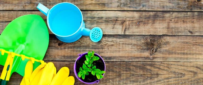Initier les petits au jardinage
