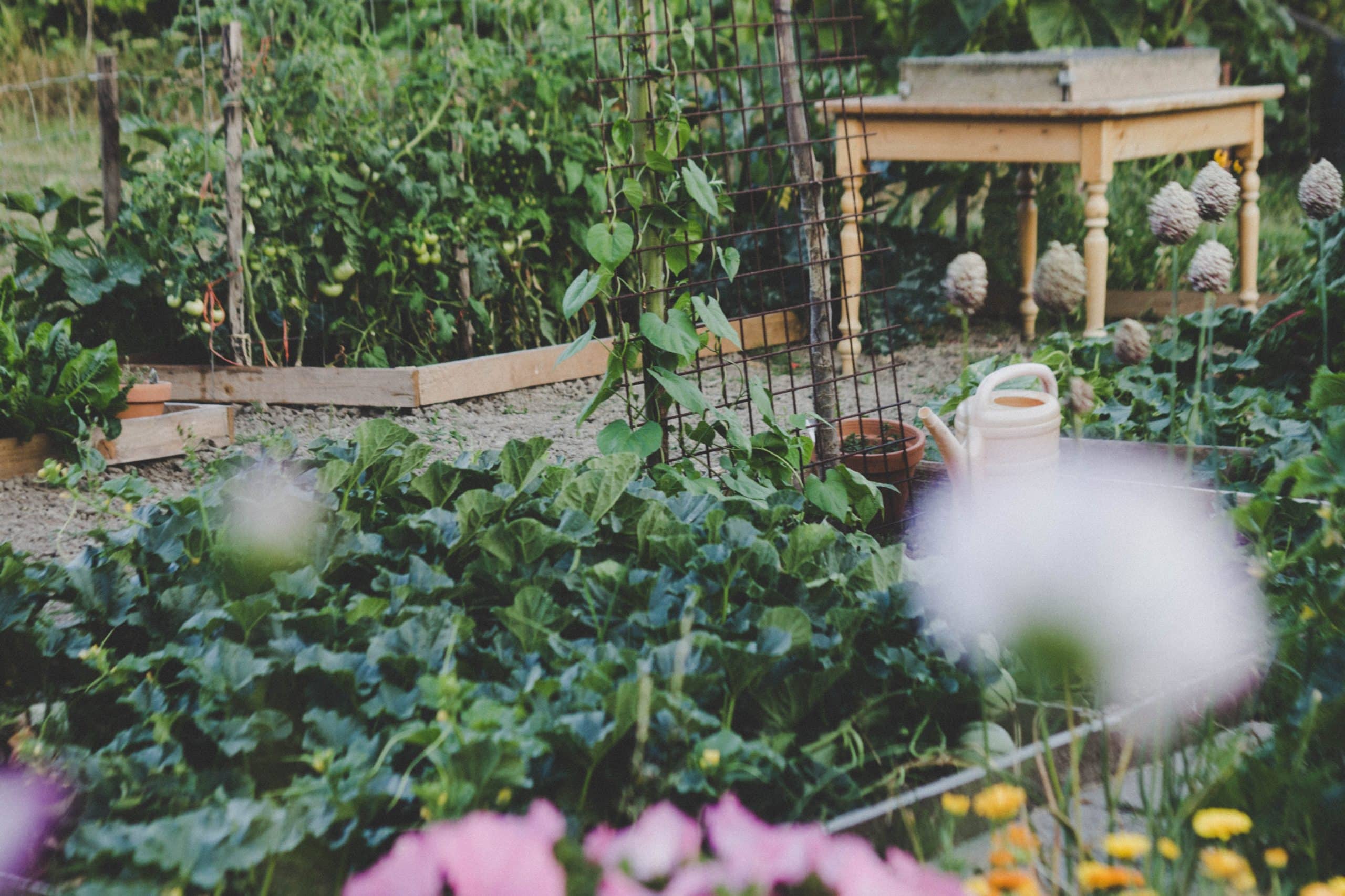 Préparer son jardin pour la saison froide