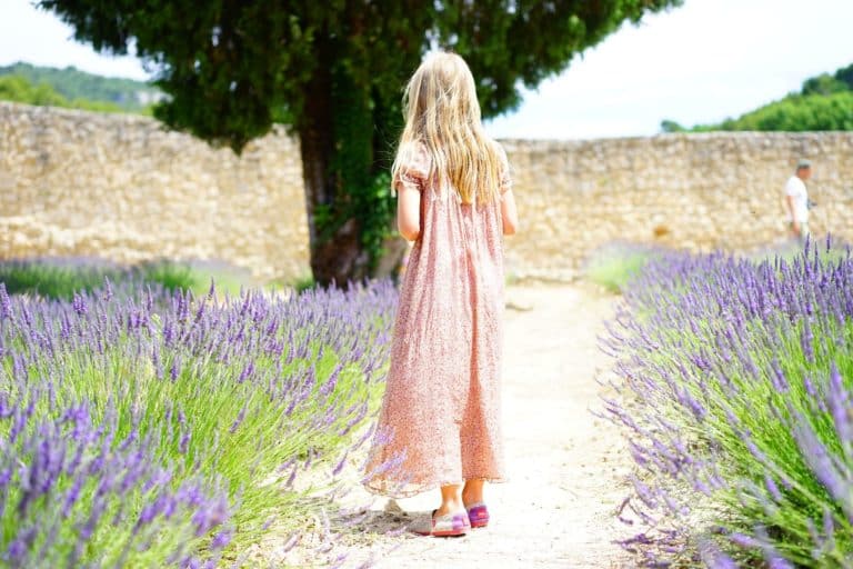 Pourquoi faire appel à un professionnel pour l’entretien de son jardin ?