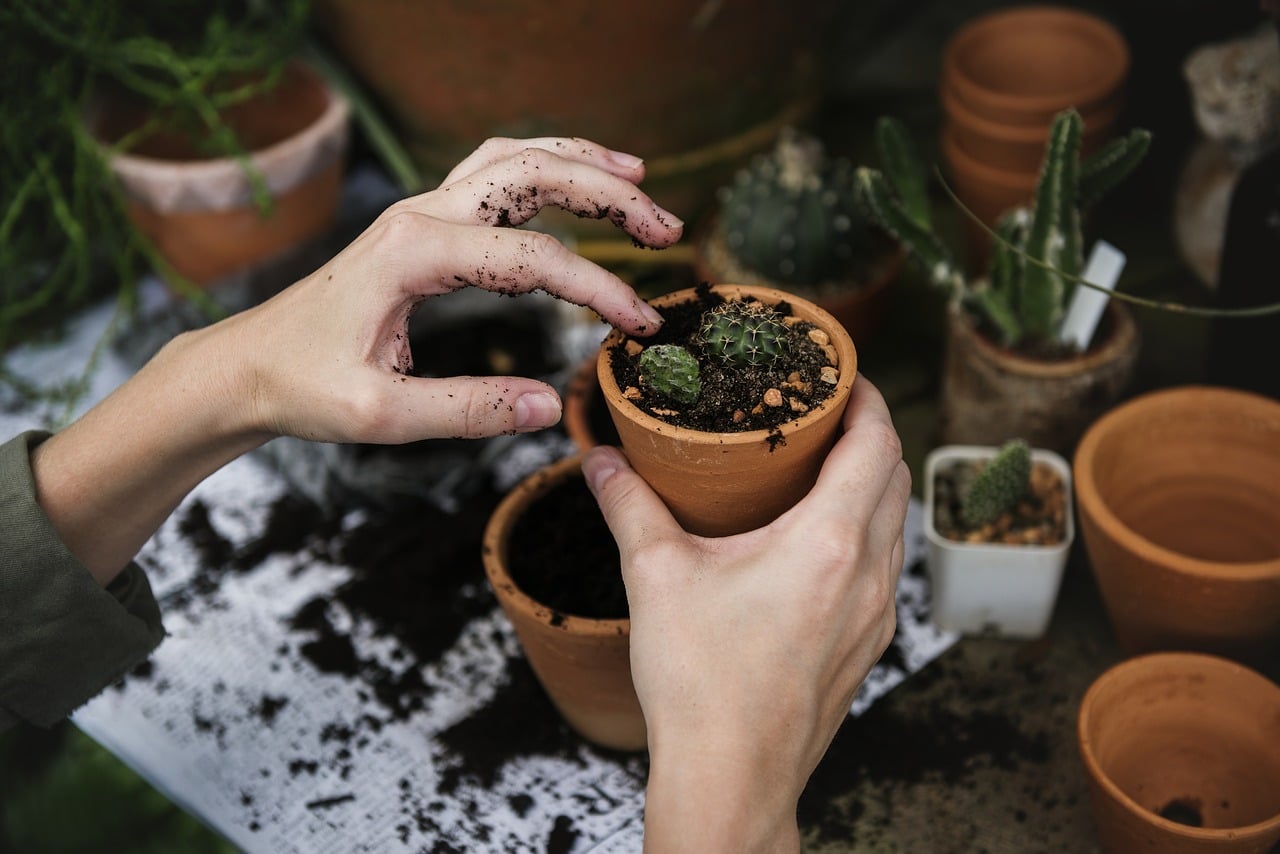 Comment choisir les bons outils de jardinage ?