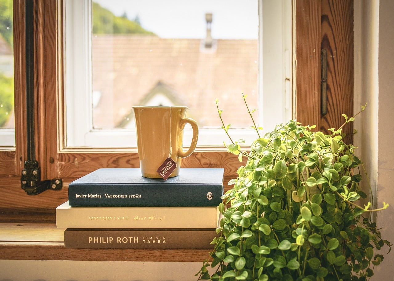 Comment choisir la meilleure plante d’intérieur ?