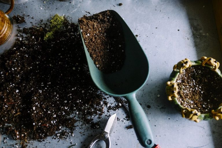 Quels sont les avantages physiques et mentaux du jardinage ?