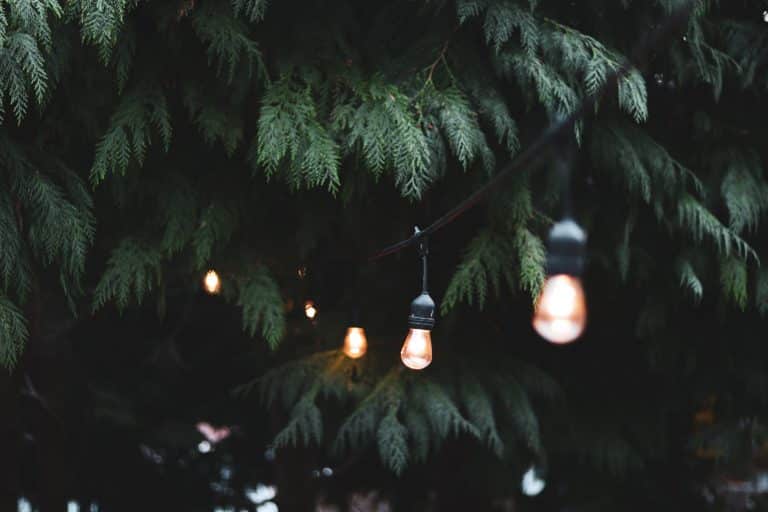 Comment ajouter une touche de style à votre jardin ?
