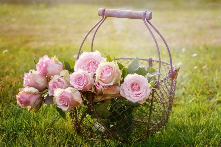 Une fleuriste normande lance son flower-truck