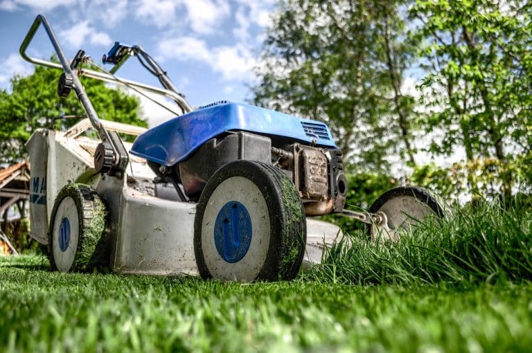 Quels travaux de jardinage à réaliser en hiver ?