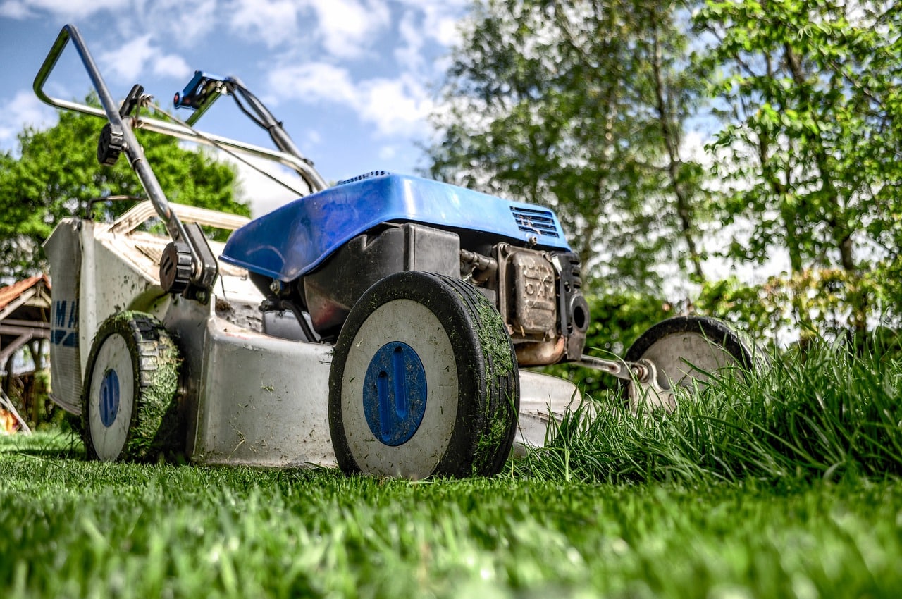 Quels travaux de jardinage à réaliser en hiver ?