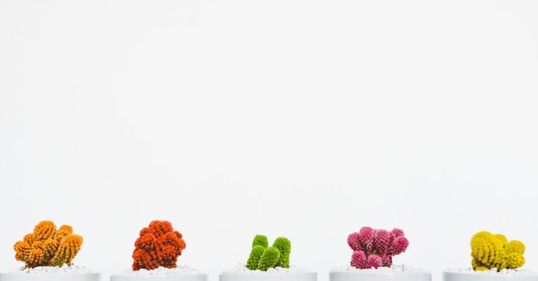 Qu&rsquo;est-ce que la fusion botanique et comment impacte-t-elle notre environnement ?