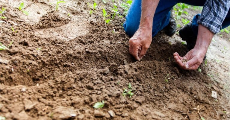 Comment recycler au jardin pour réduire votre empreinte écologique ?