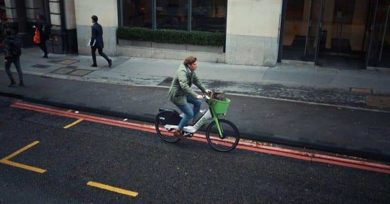 Comment verdir efficacement la ville ?