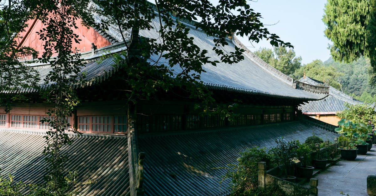 découvrez l'harmonie entre nature et design avec nos murs végétaux. transformez vos espaces intérieurs et extérieurs en oasis de verdure, tout en améliorant la qualité de l'air et en apportant une touche d'esthétisme. idéal pour les amateurs de biophilie!