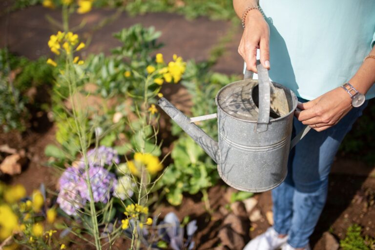 Comment profiter du jardinage en cage ?