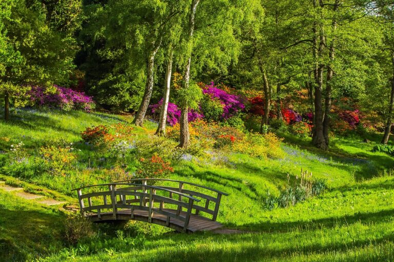 Eden de verdure : comment préserver ce havre de paix naturel ?