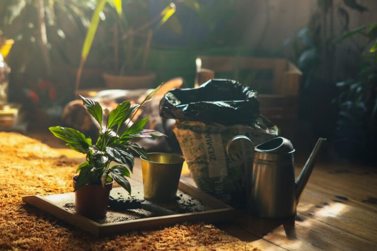 Comment créer un potager productif en milieu urbain ?