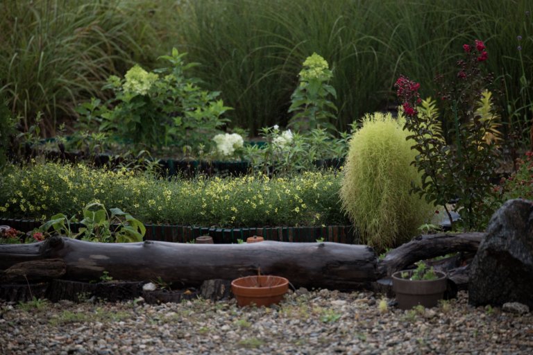 Les erreurs à éviter lors de l&rsquo;aménagement de votre jardin