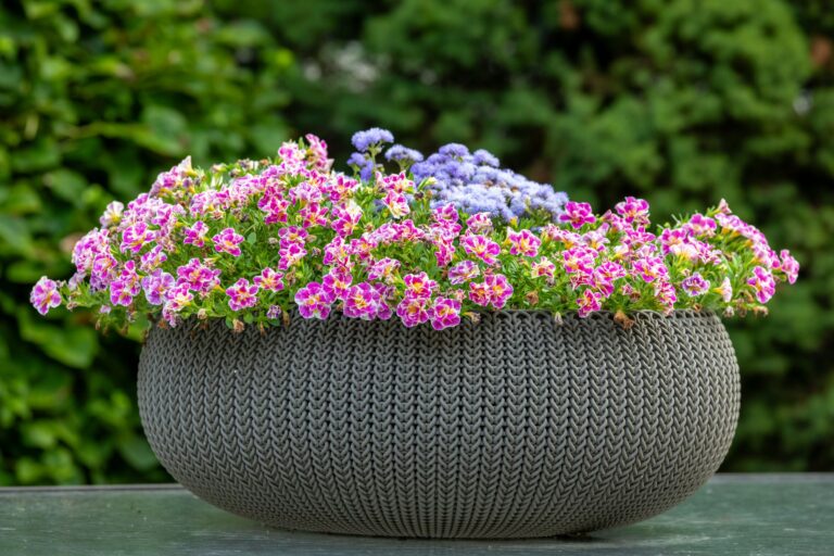 Quelles fleurs planter au printemps pour égayer votre jardin ?
