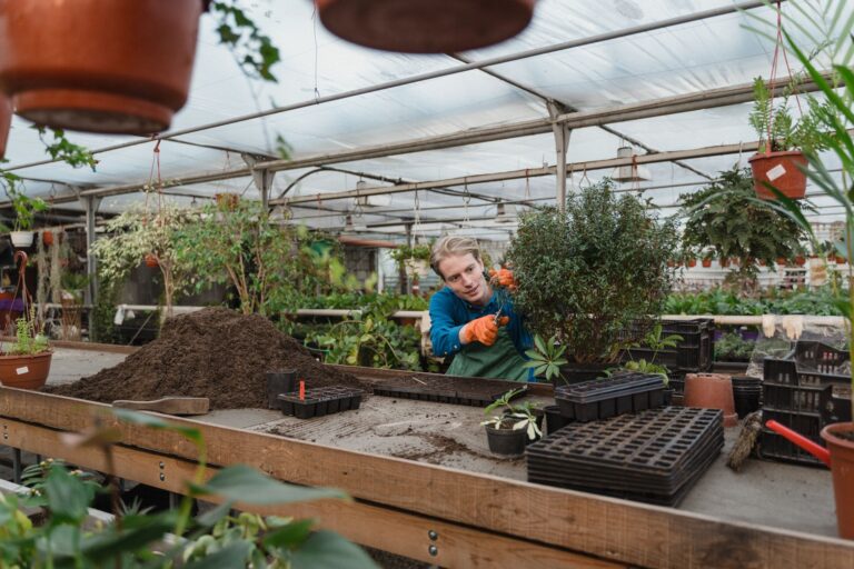 Les avantages d&rsquo;un jardin bio pour votre santé et l&rsquo;environnement