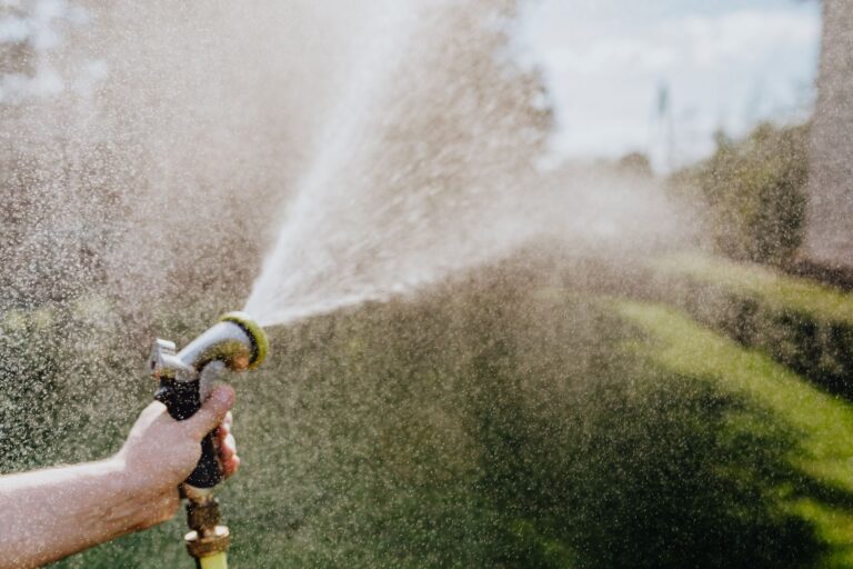 Les meilleures astuces pour arroser votre jardin efficacement