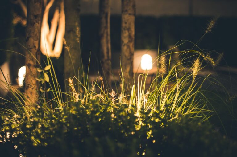 Comment choisir un éclairage adapté à votre jardin ?
