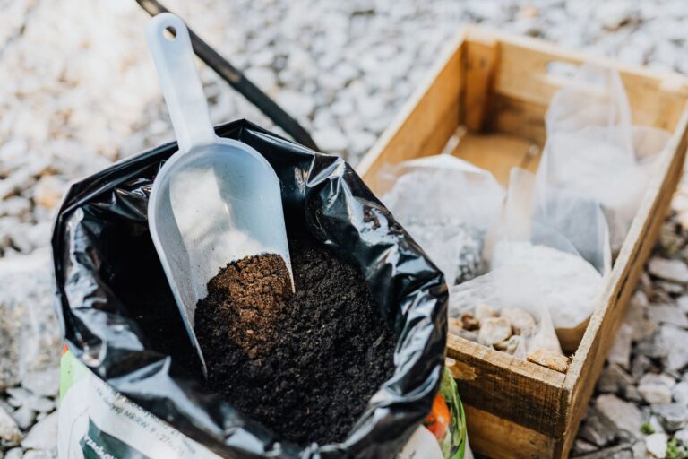 Les outils indispensables pour un jardinage réussi