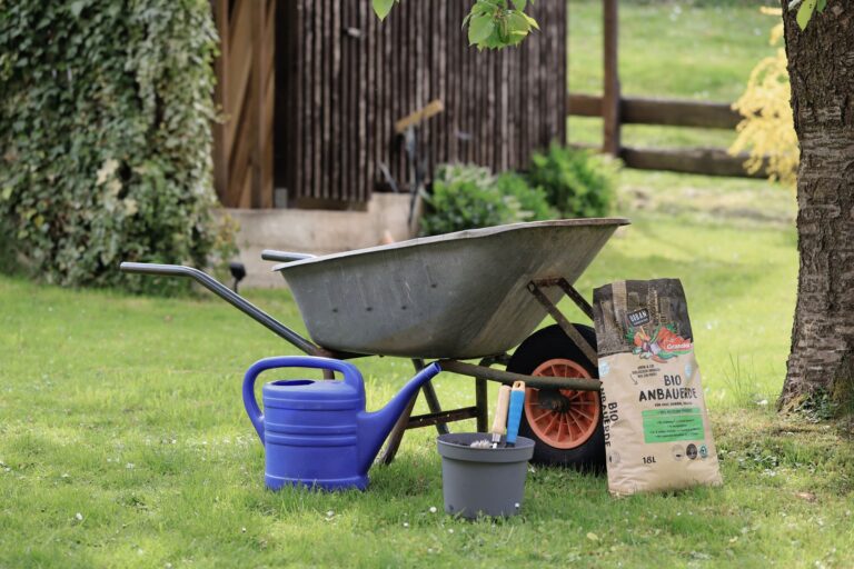 Comment concevoir un jardin écoresponsable et durable ?