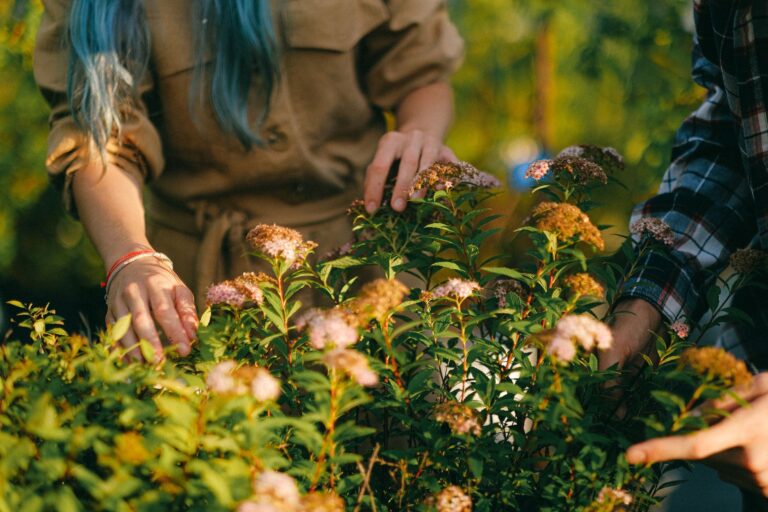 Les bienfaits du jardinage sur le bien-être mental