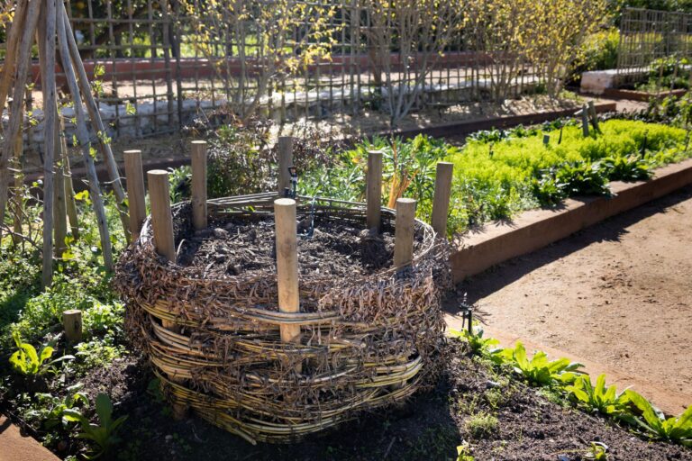Comment préparer son jardin avant l&rsquo;hiver pour le printemps suivant ?