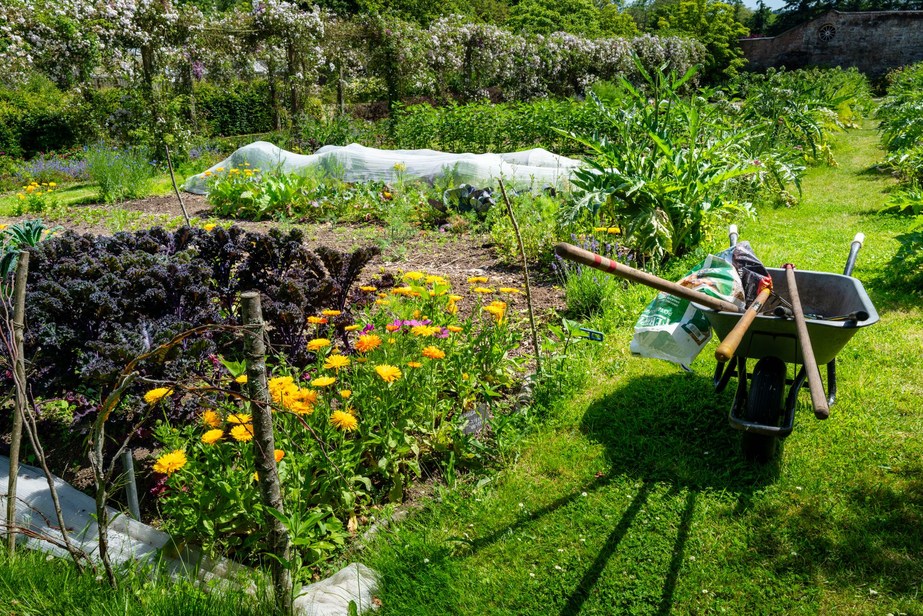 Comment choisir les bons équipements de jardinage pour débuter ?
