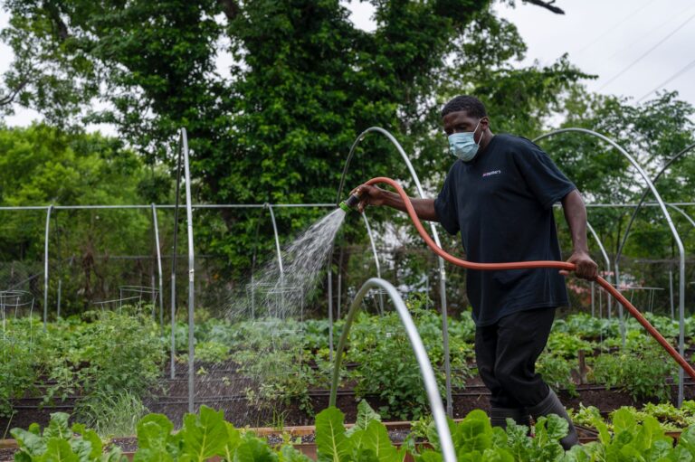 Comment organiser des ateliers de jardinage communautaire ?