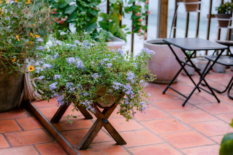 Les conseils pour un jardin fleuri toute l&rsquo;année