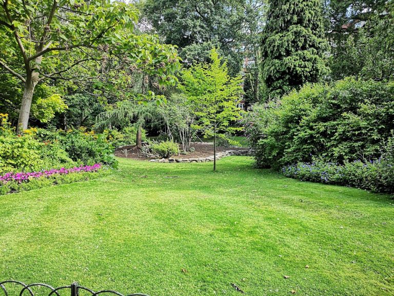 Créer une haie de jardin esthétique, sans entretien et sans risque d’invasion