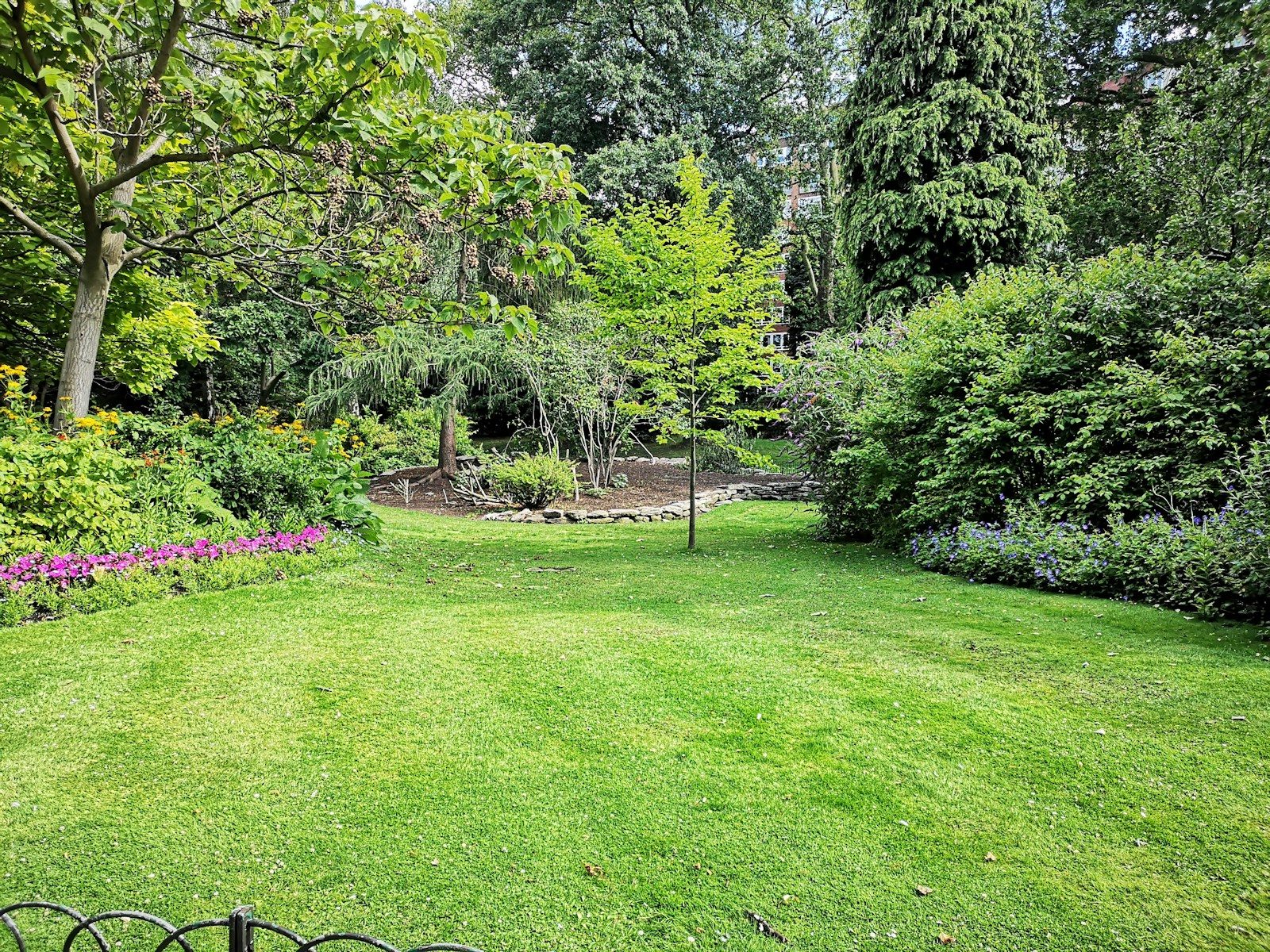 Créer une haie de jardin esthétique, sans entretien et sans risque d’invasion