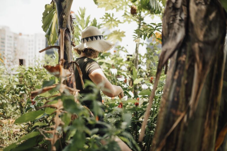 Comment célébrer la biodiversité avec des plantations locales ?
