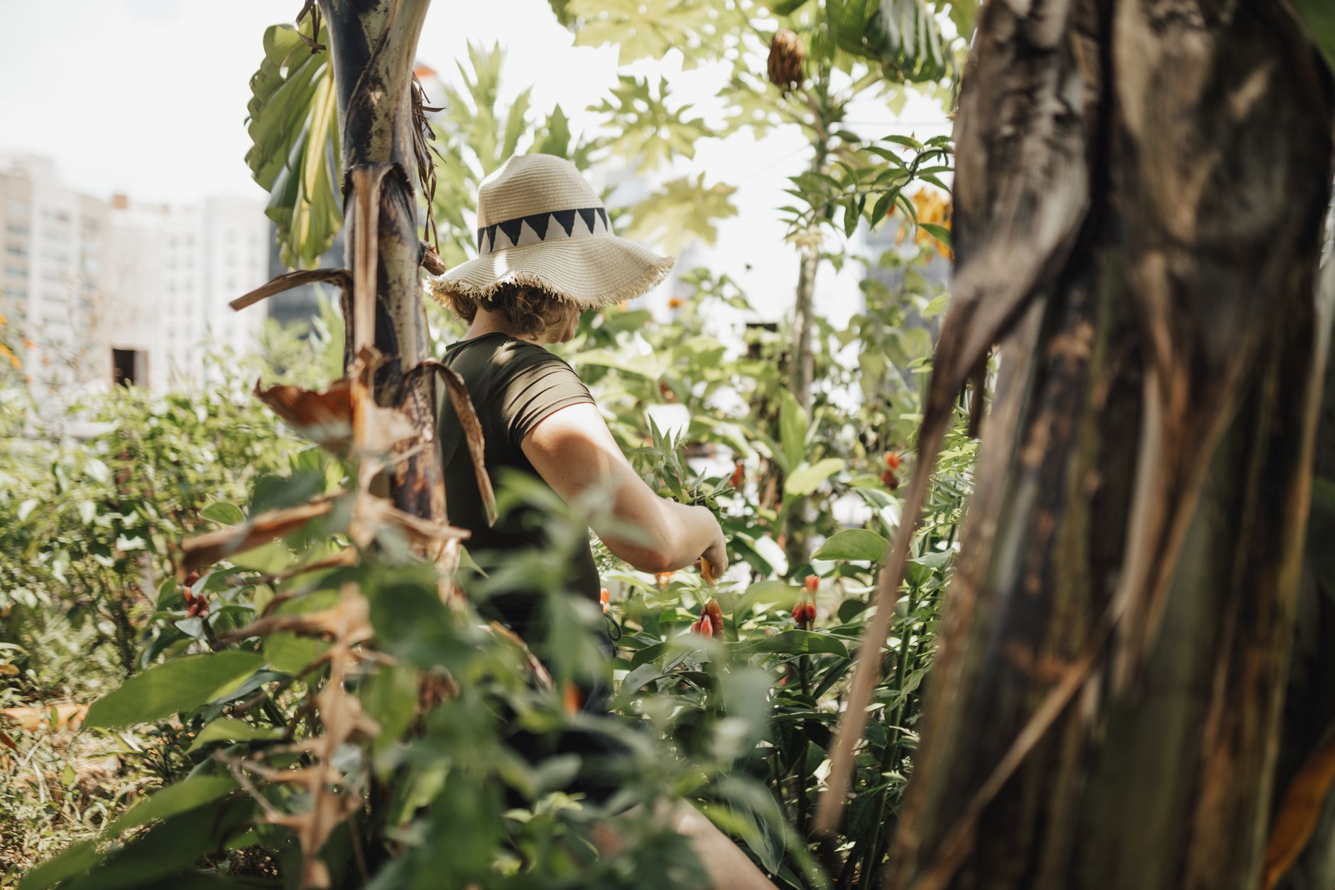 Comment célébrer la biodiversité avec des plantations locales ?