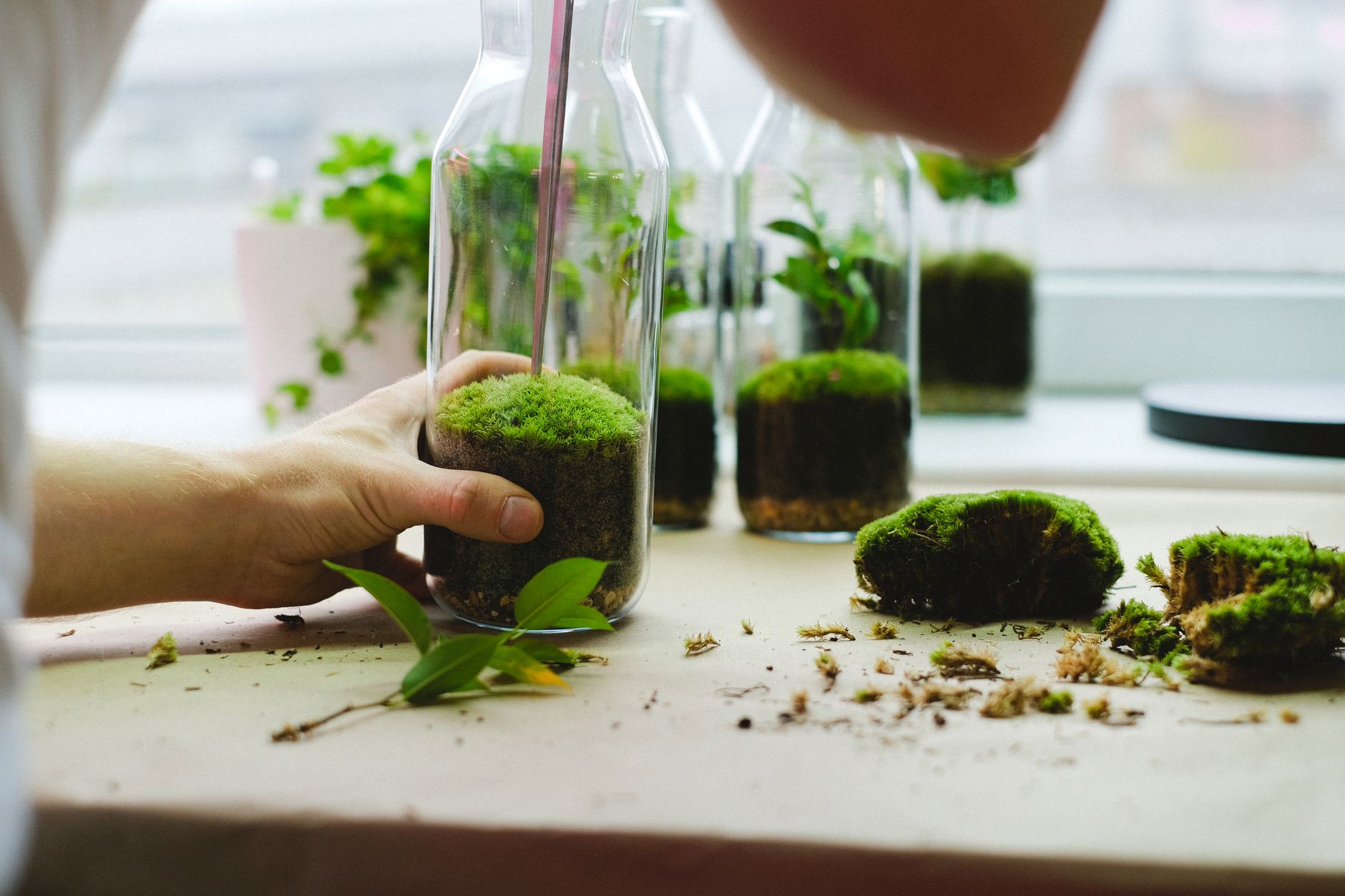 Comment concevoir un jardin miniature à la maison ?