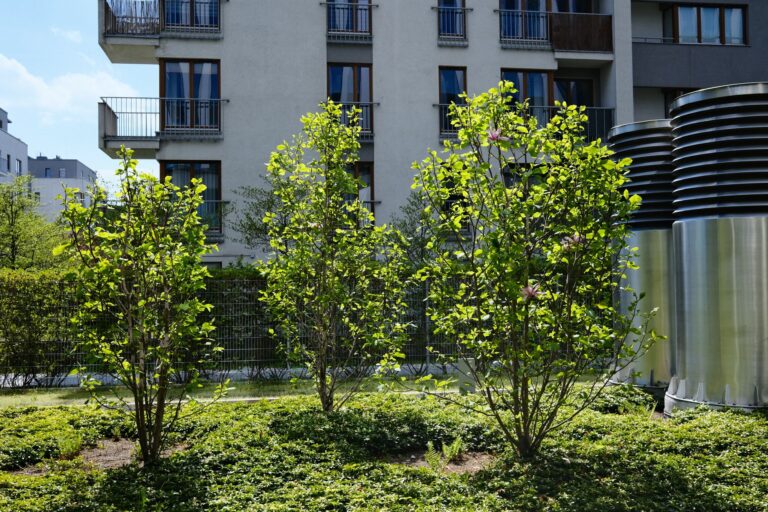 Comment un jardin peut améliorer la qualité de l&rsquo;air autour de vous ?