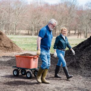 Les rituels saisonniers pour un jardin plus vivant