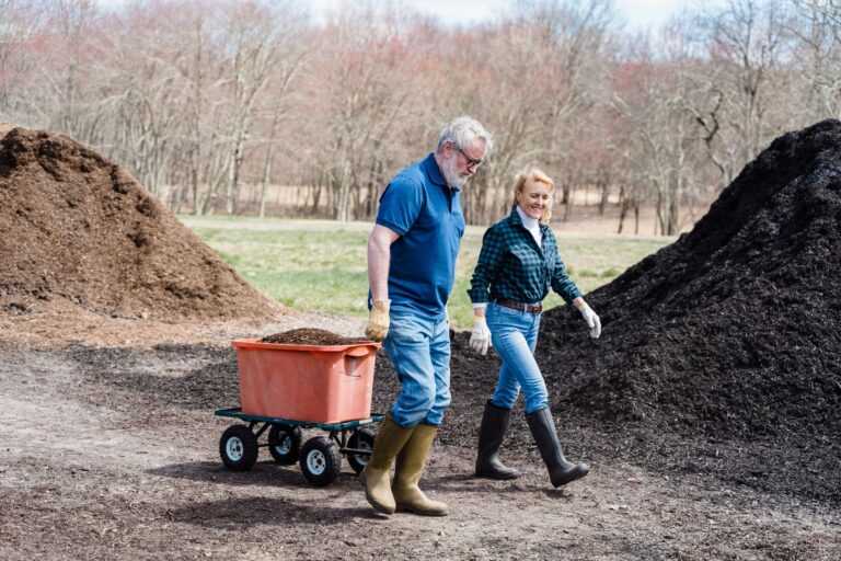 Les rituels saisonniers pour un jardin plus vivant