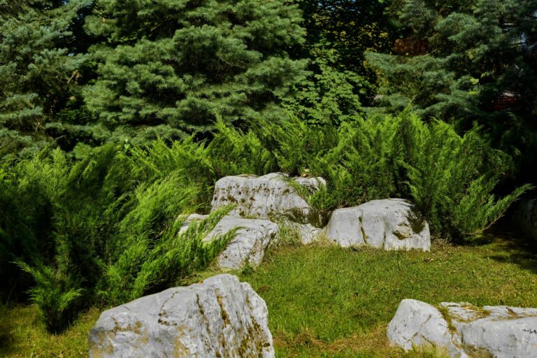 Les secrets d&rsquo;un jardin de rocaille réussi
