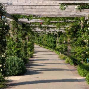 Comment créer des zones d’ombre agréables dans votre jardin ?