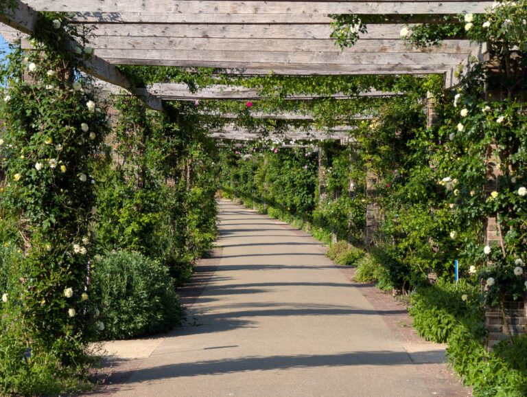 Comment créer des zones d&rsquo;ombre agréables dans votre jardin ?
