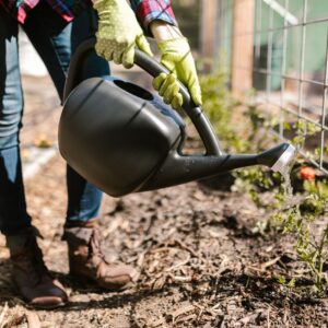 Comment recueillir et utiliser l&rsquo;eau de pluie pour votre jardin ?
