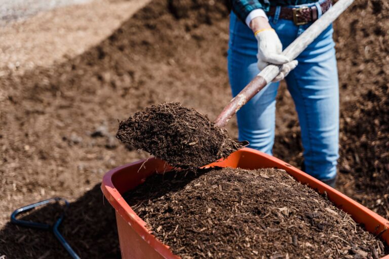 Les meilleures pratiques pour le jardinage en container