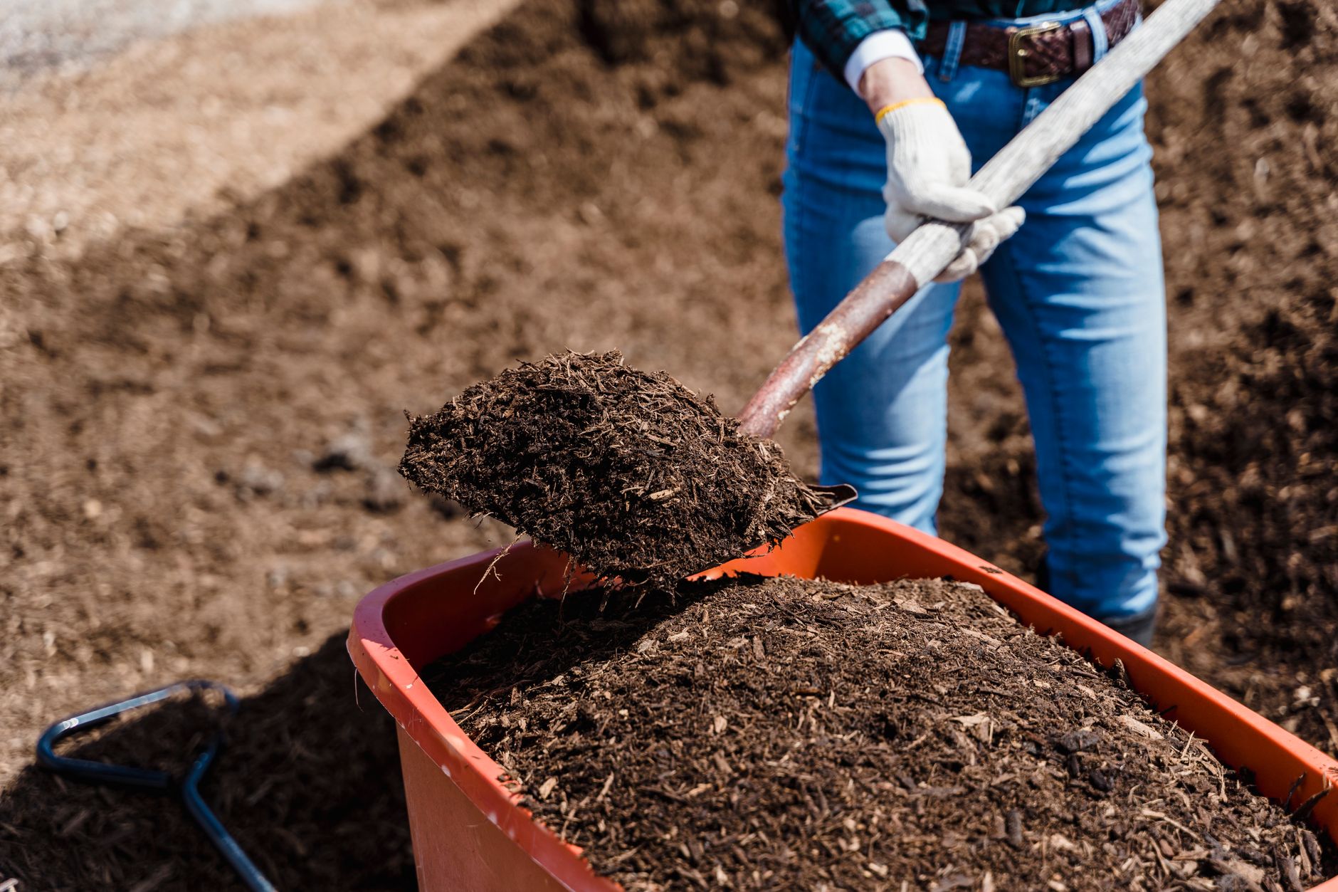 Les meilleures pratiques pour le jardinage en container